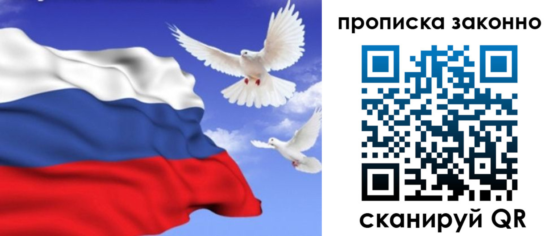 прописка в Ярославле